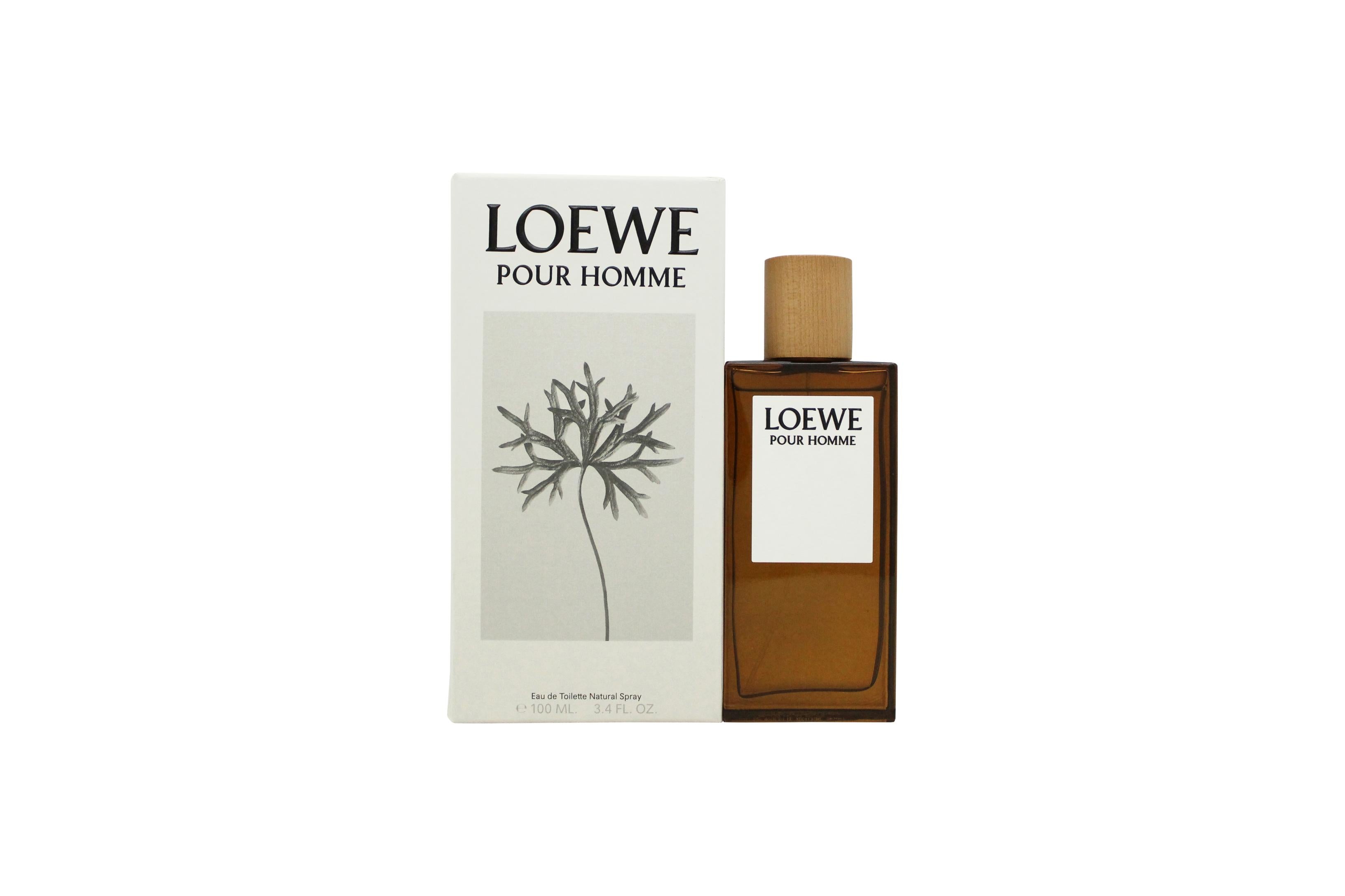 Loewe homme discount