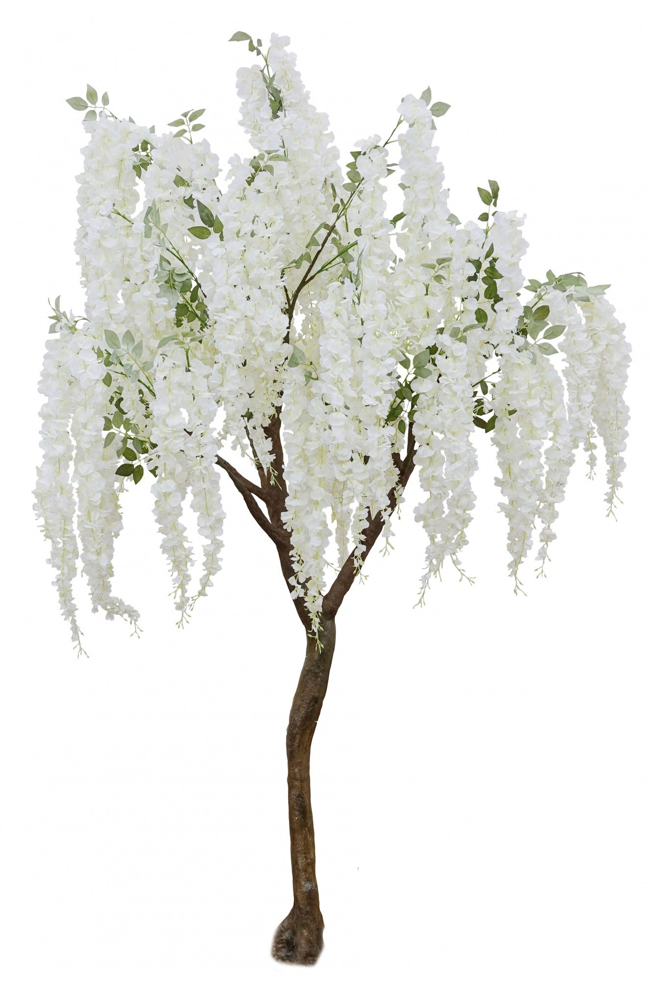 Artificial Cream Wisteria Tree (2.7m)