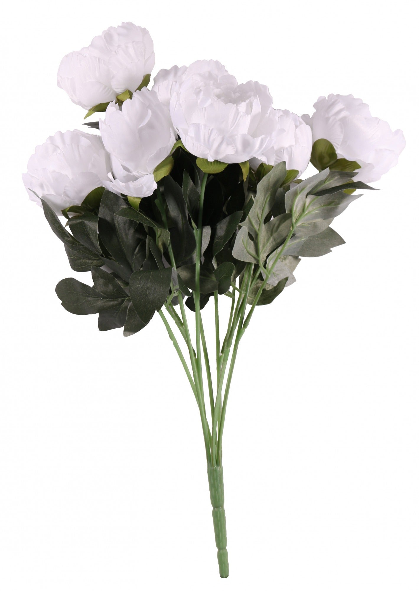 White King Peony Bunch