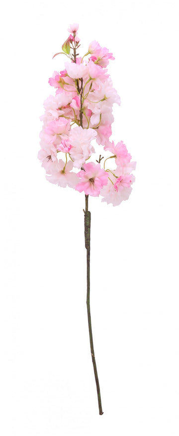 Light Pink Single Apple Blossom