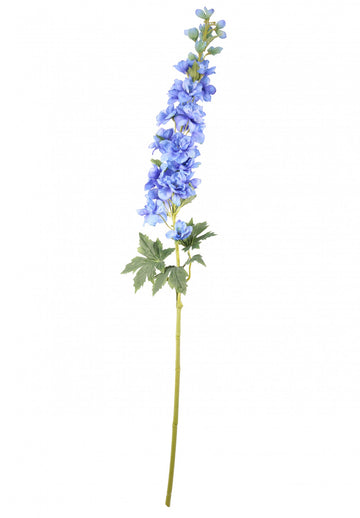 Blue Cottage Garden Delphinium