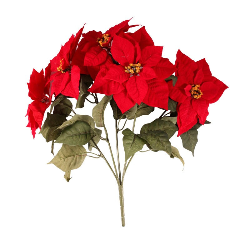 Large Poinsettia Bush  (20 Inch)