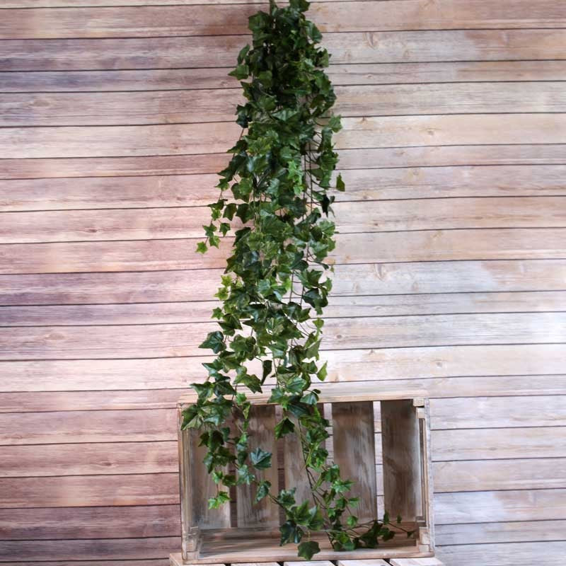 Sandringham Ivy Bush 180cm x 423 Leaves Green