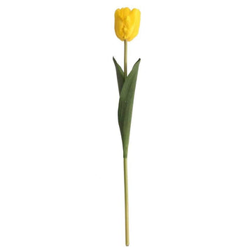 Tulip Yellow