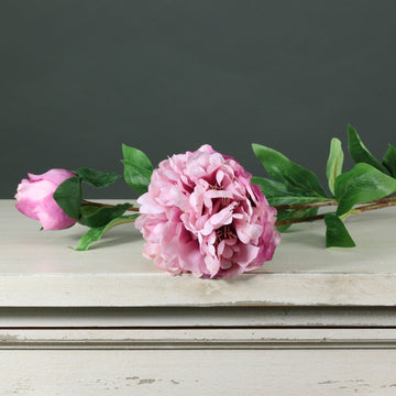 Tintagel Spray Peony Pink