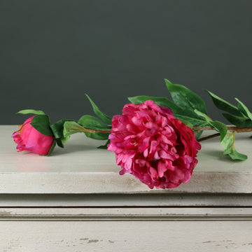 Tintagel Spray Peony Cerise