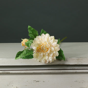 Tintagel Spray Dahlia Cream