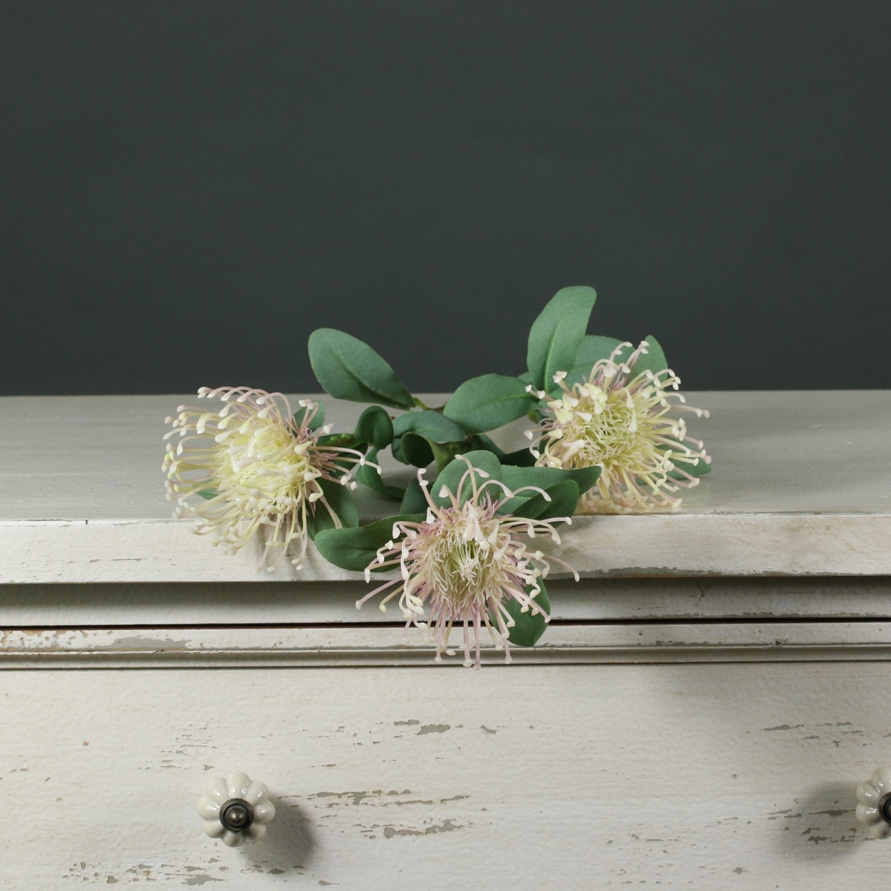 Tintagel Leucospermum Light Pink