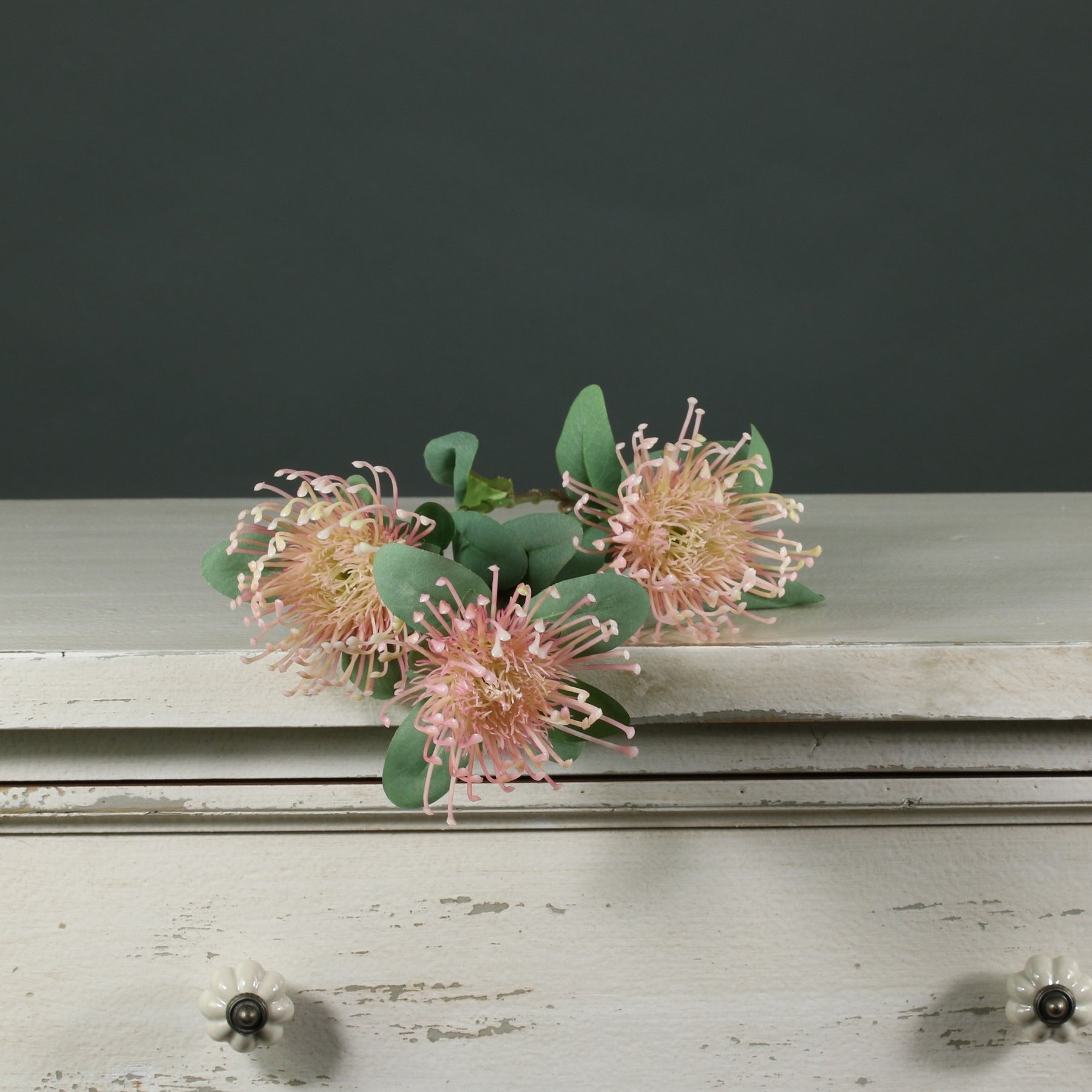 Tintagel Leucospermum Pink