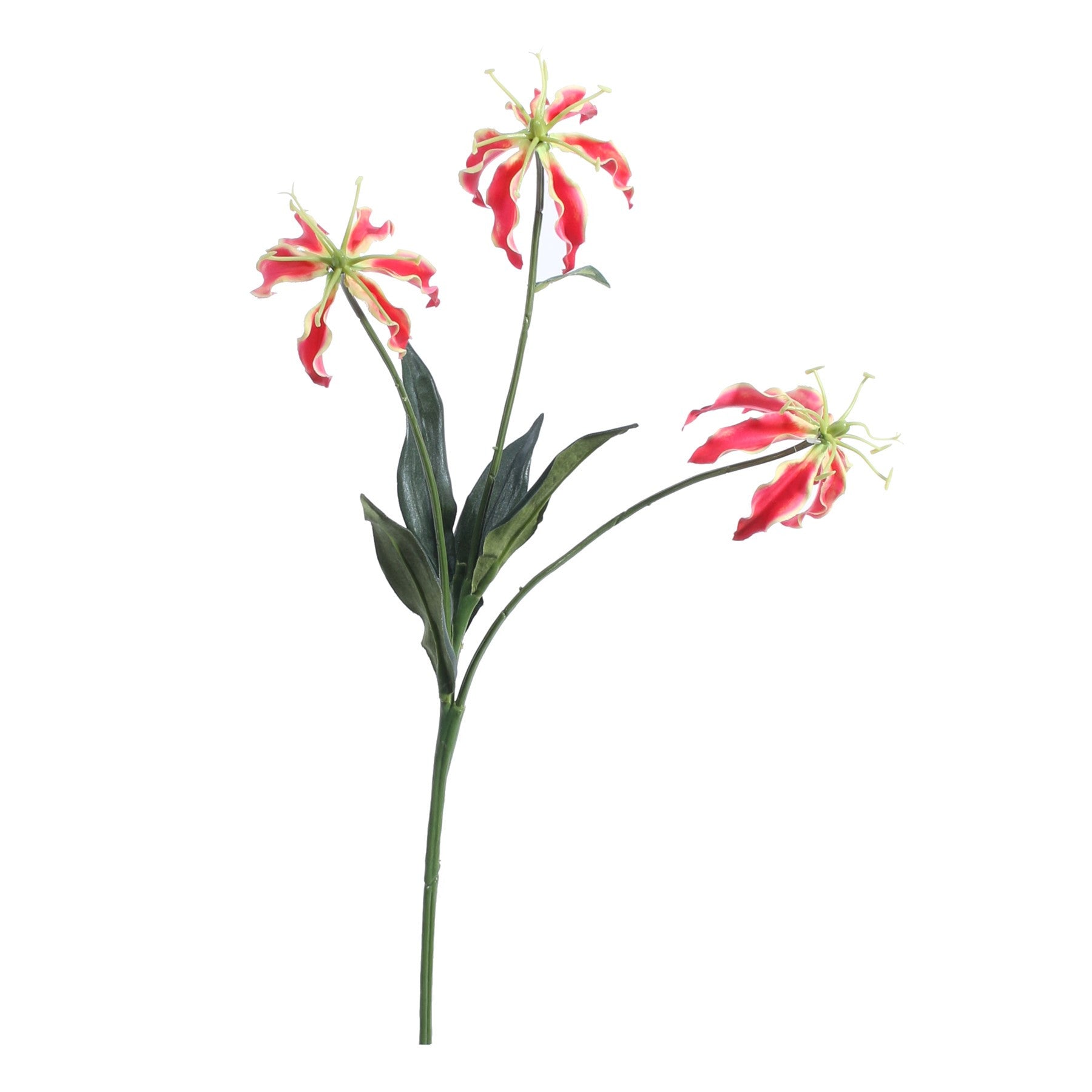 Red Gloriosa Spray (50cm)