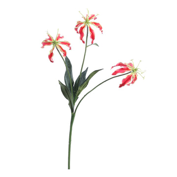 Red Gloriosa Spray (50cm)