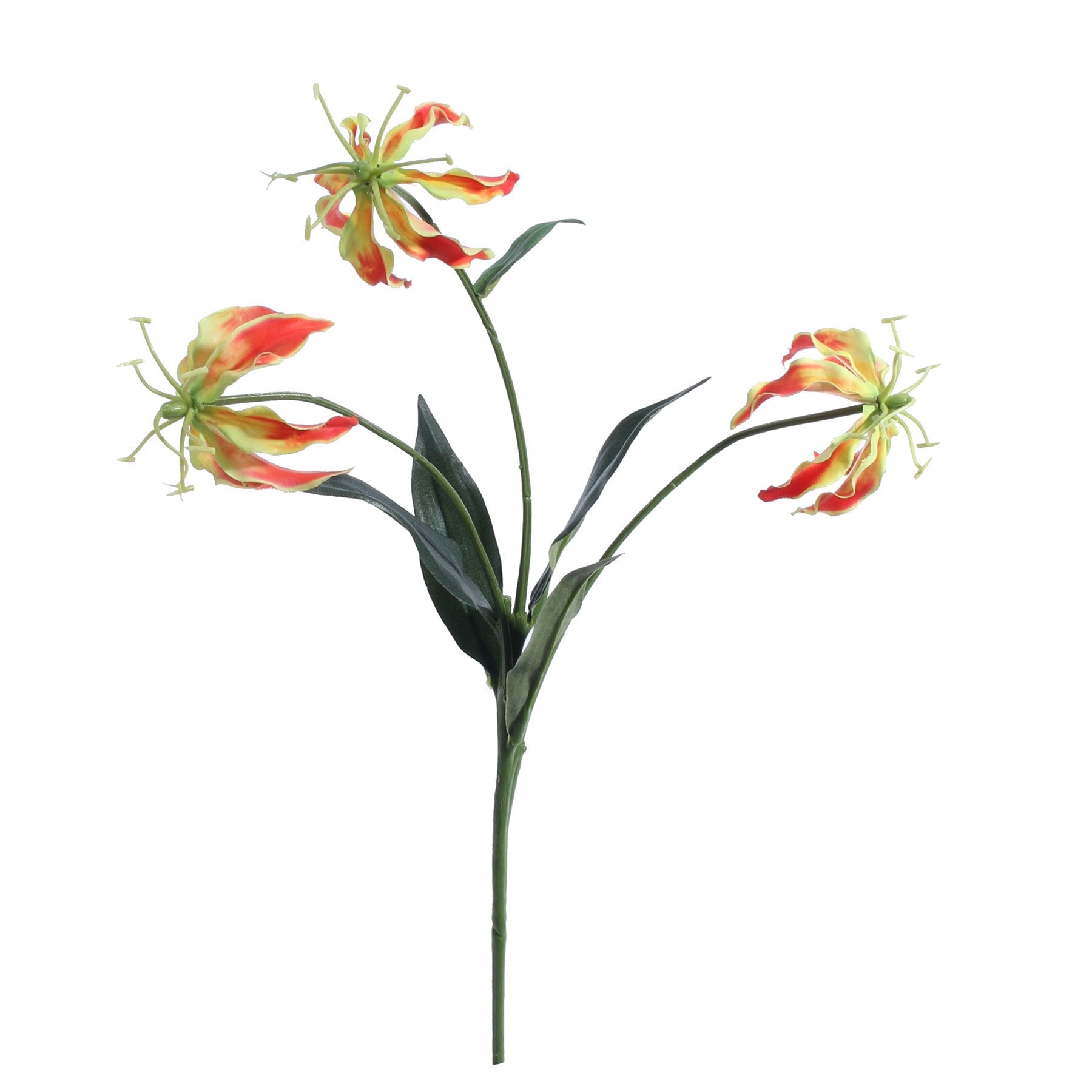 Orange Gloriosa Spray (50cm)