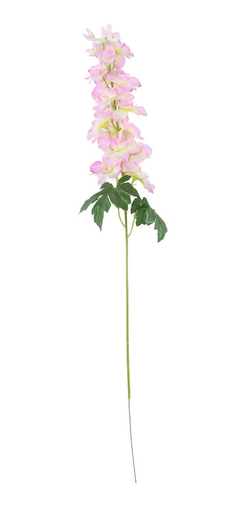 Cream Pink Arundel Garden Delphinium