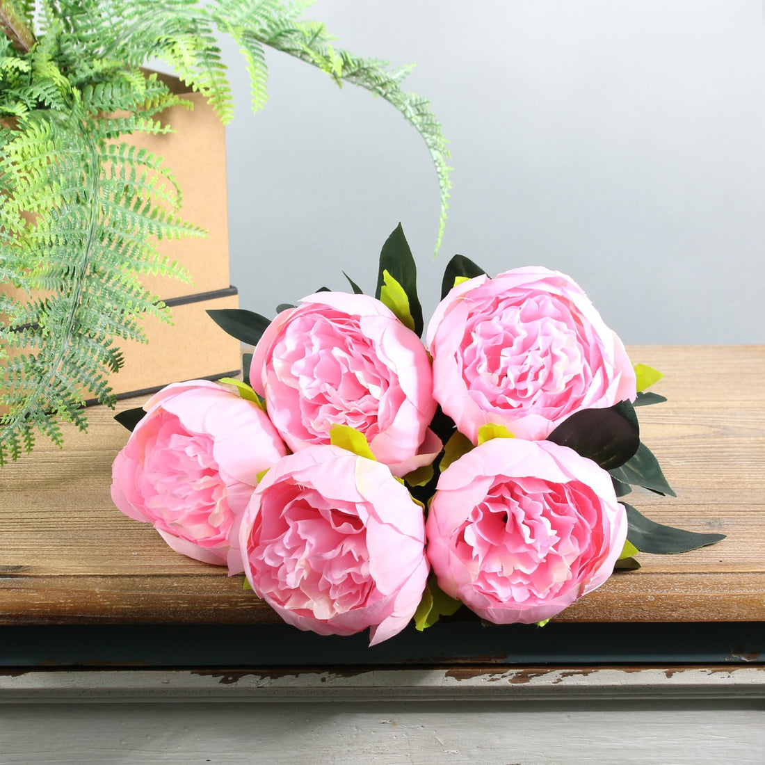 Pink Arundel Peony Bush