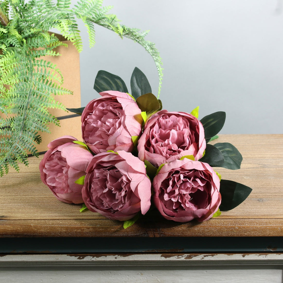 Arundel Peony Bush Dusky Pink