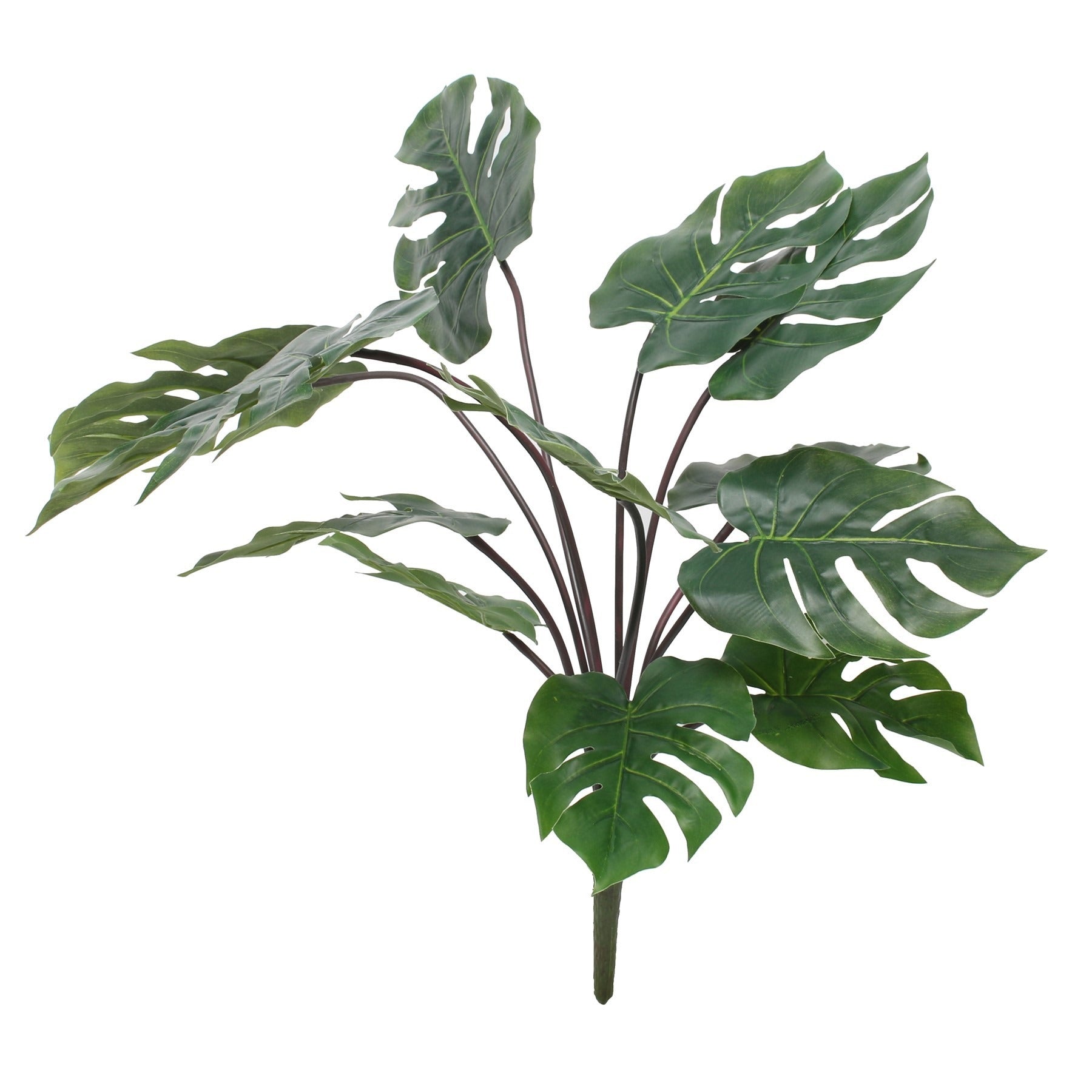 Grand Pothos Garland (26inch)