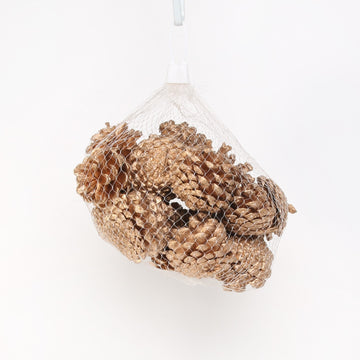 Gold Pinecones (250g)