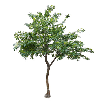 Artificial Green Japanese Maple Tree  (2.8m)