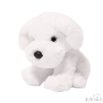 6x White Puppy (15cm)