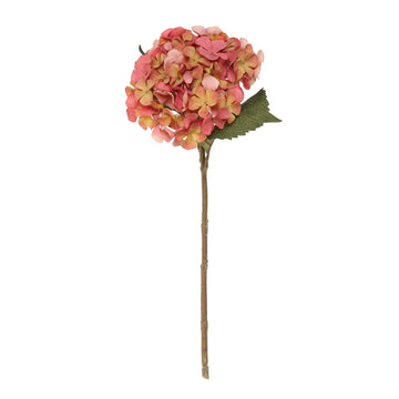 Balmoral Hydrangea Orange (45cm)