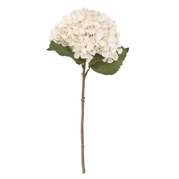 Balmoral Cream Hydrangea (45cm)