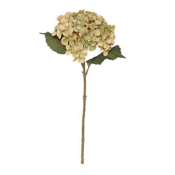 Balmoral Green Hydrangea (45cm)