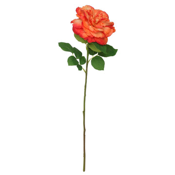 Balmoral Wild Rose Orange (65cm)