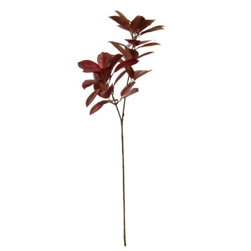 Glamis Citrus Leaves Spray Chocolate (75cm)