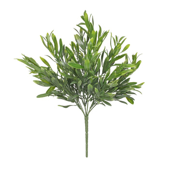 UV Exterior Everlast Olive Plant (38cm)