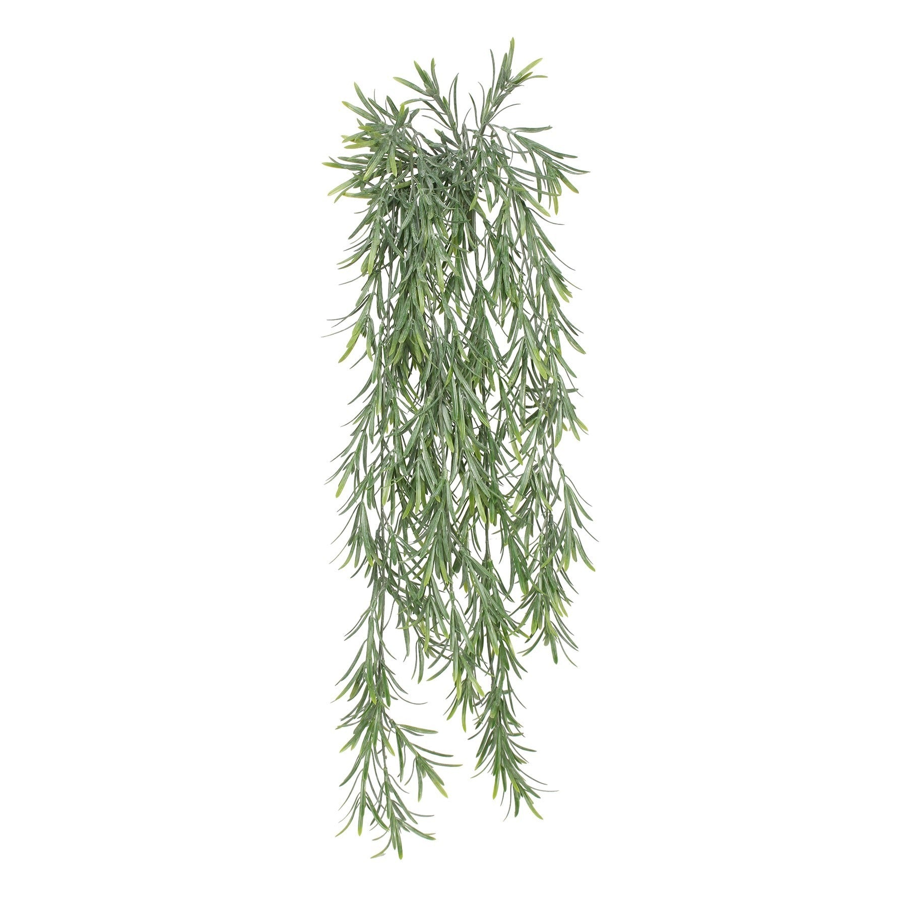 UV Exterior Everlast Trailing Rosemary Plant (76cm)