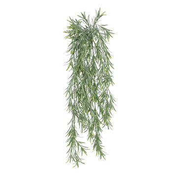 UV Exterior Everlast Trailing Rosemary Plant (76cm)