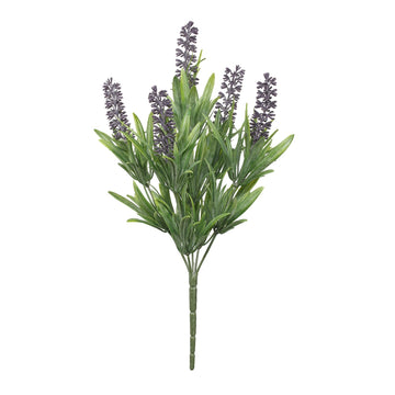 Uv Exterior Everlast Lavender Plant (36cm)