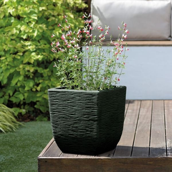 Stewart 38cm Cotswold Planter - Light Sand