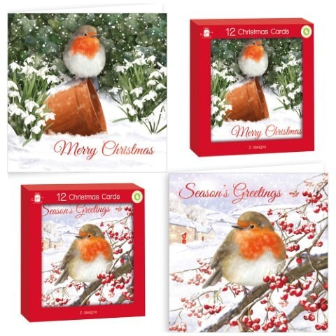 Traditional Robin Christmas Cards (Pack of 12)