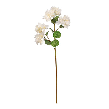 Bougainvillea White 87cm