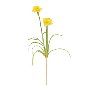 Monet Narcissus Yellow (58cm  3 flowers)