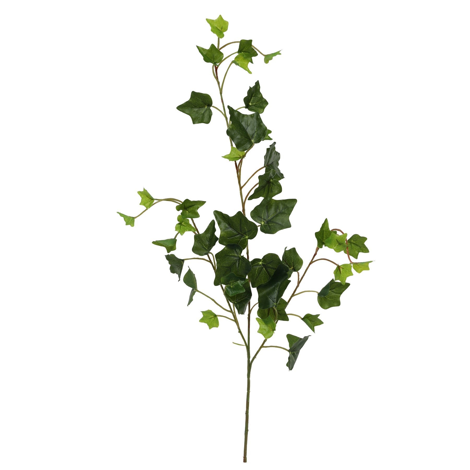 Ivy Spray (60cm)