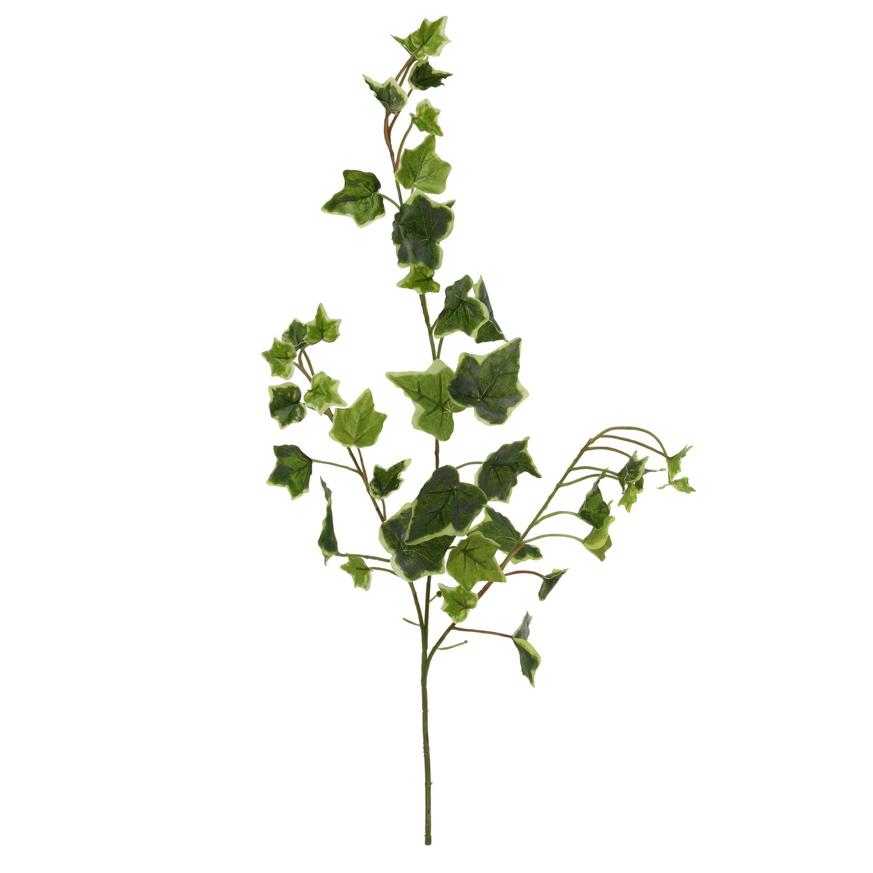 60cm Ivy Spray