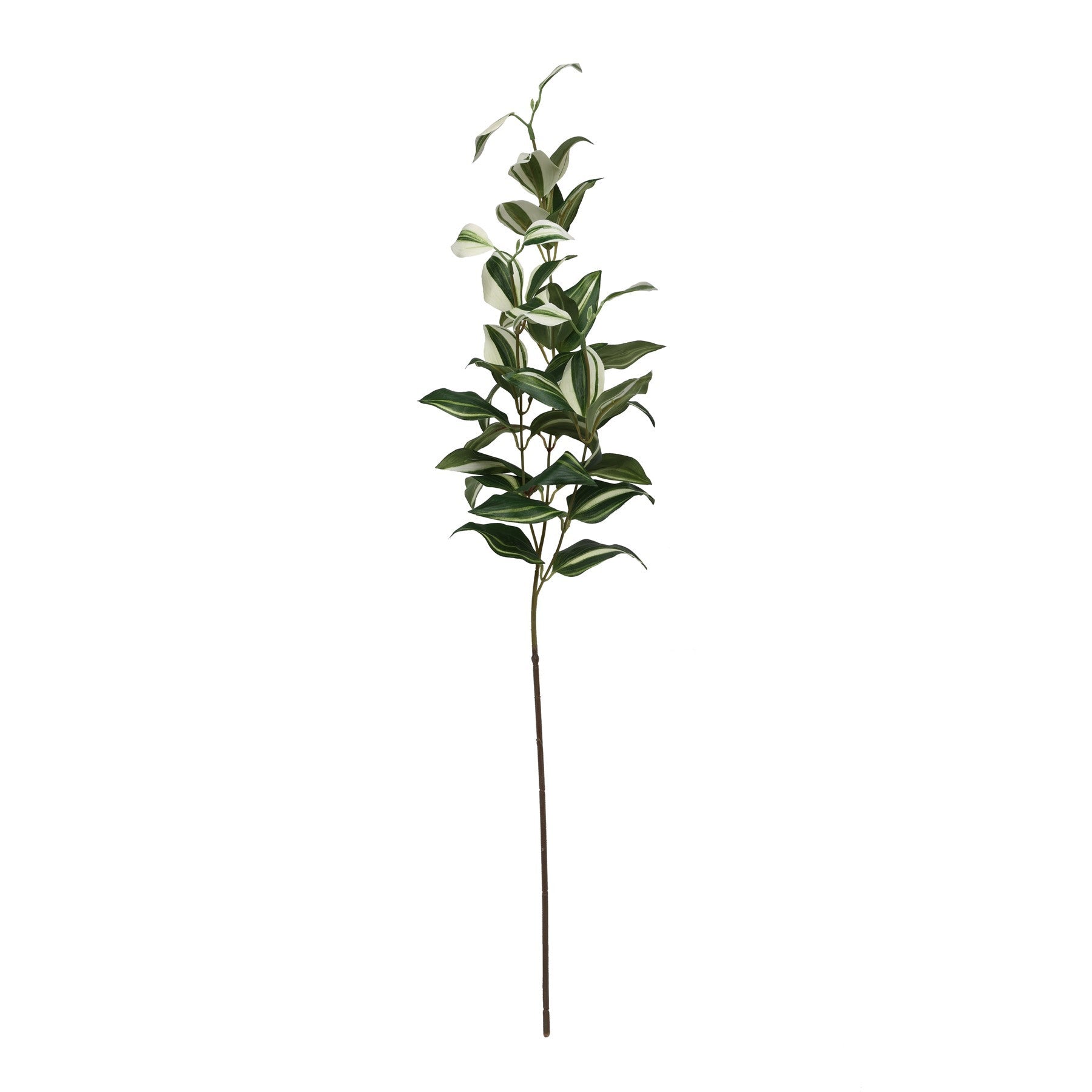 Tradaescantia Spray (74cm)