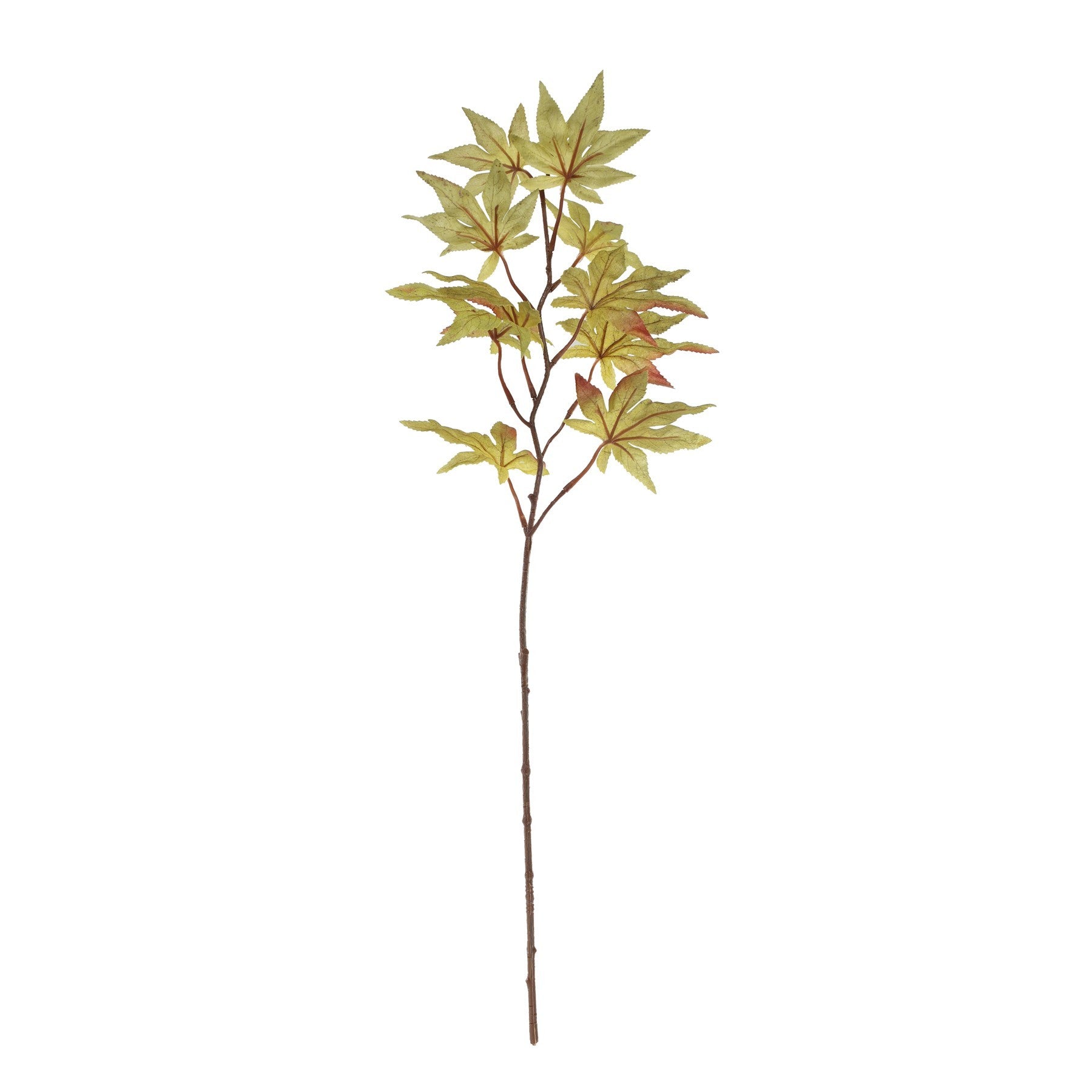 Glamis Maple Leaf Spray Green (64cm)