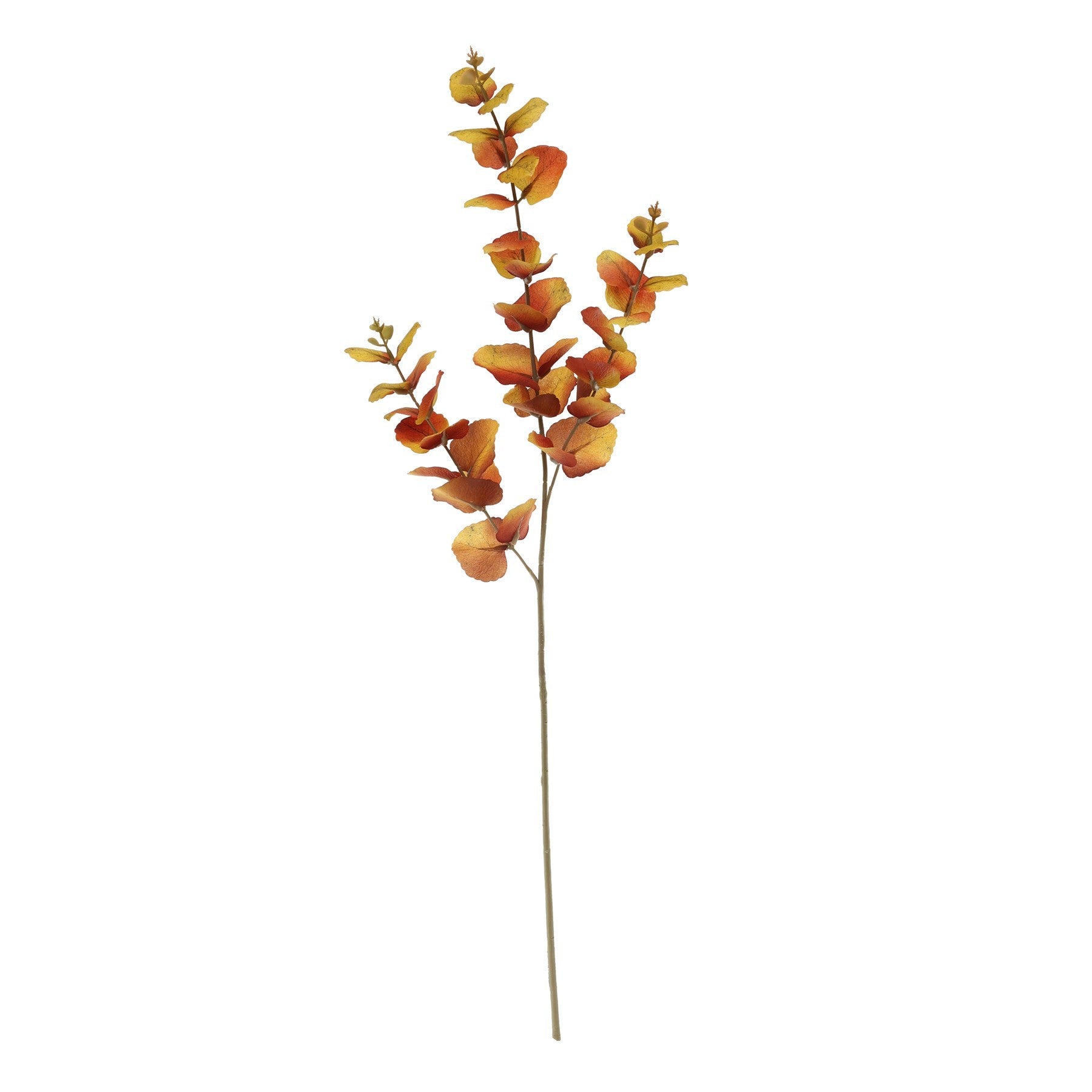 Glamis Eucalyptus Spray Brown (73cm)