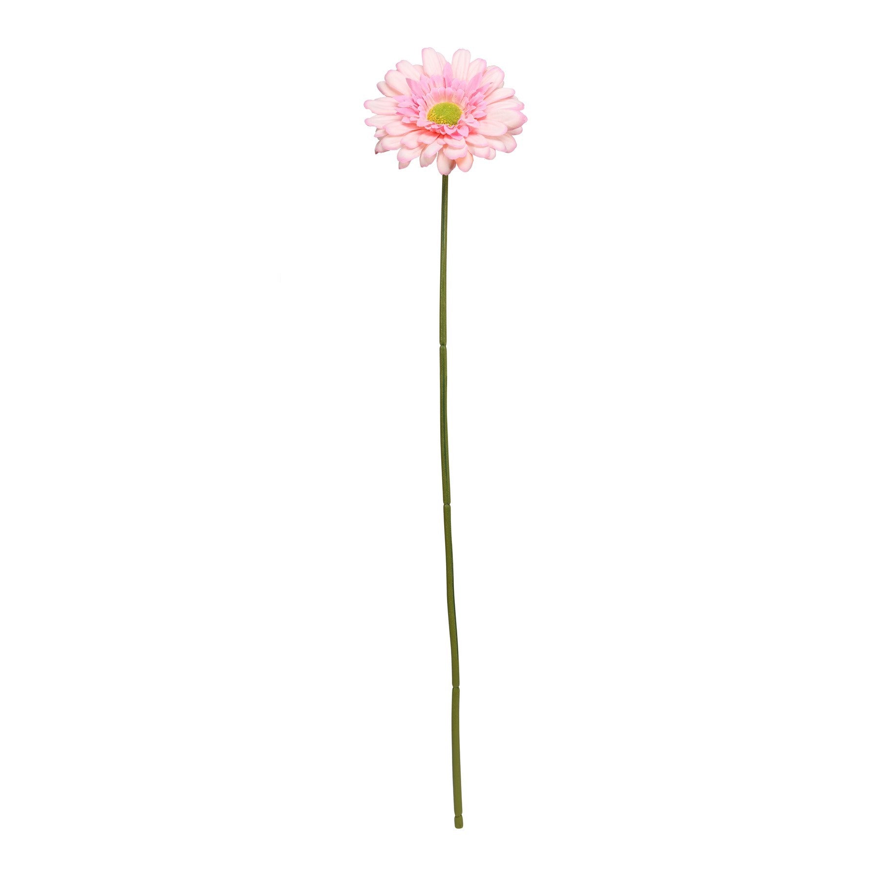 Baby Pink Gerbera Stem (72cm)