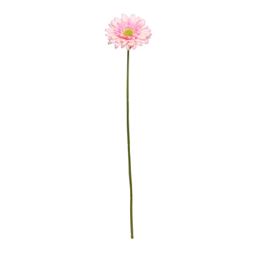 Baby Pink Gerbera Stem (72cm)