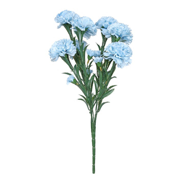 Essential Light Blue Carnation Bunch