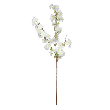 Essential Ivory Apple Tree Blossom