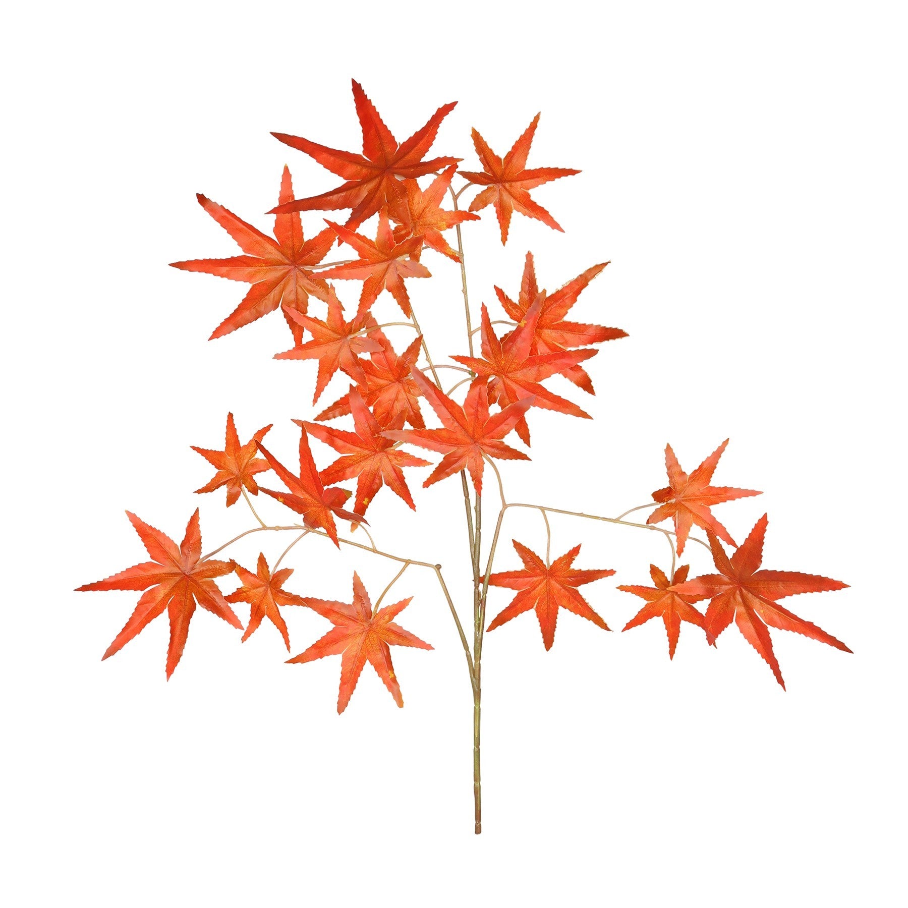 Essential Red Autumn Maple (12)