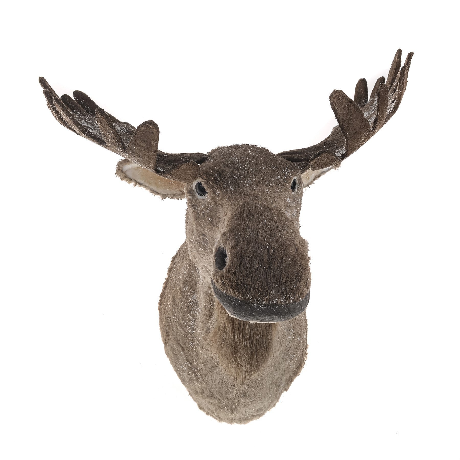 Large Christmas Moose Head