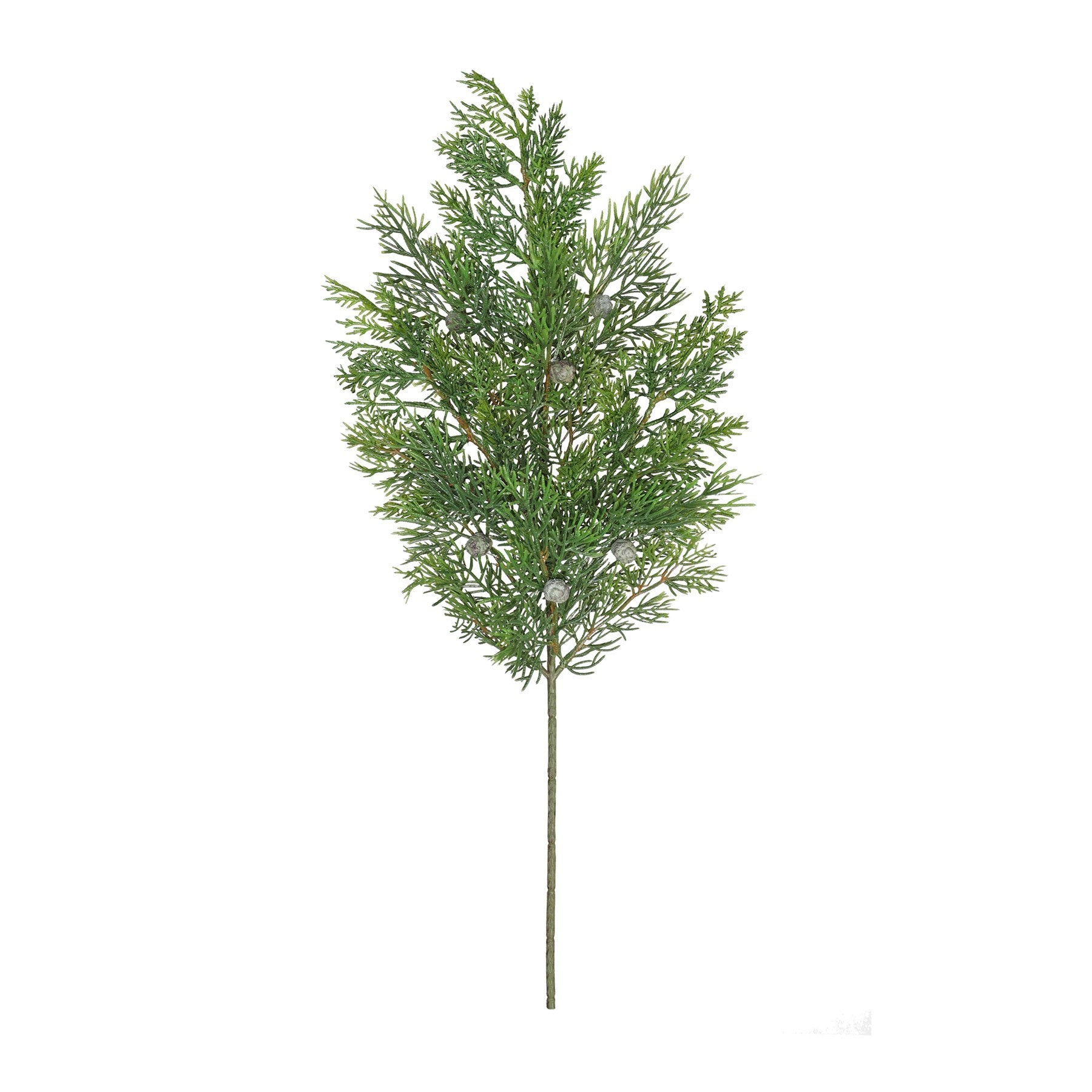 Cypress spray 21.5\ inch