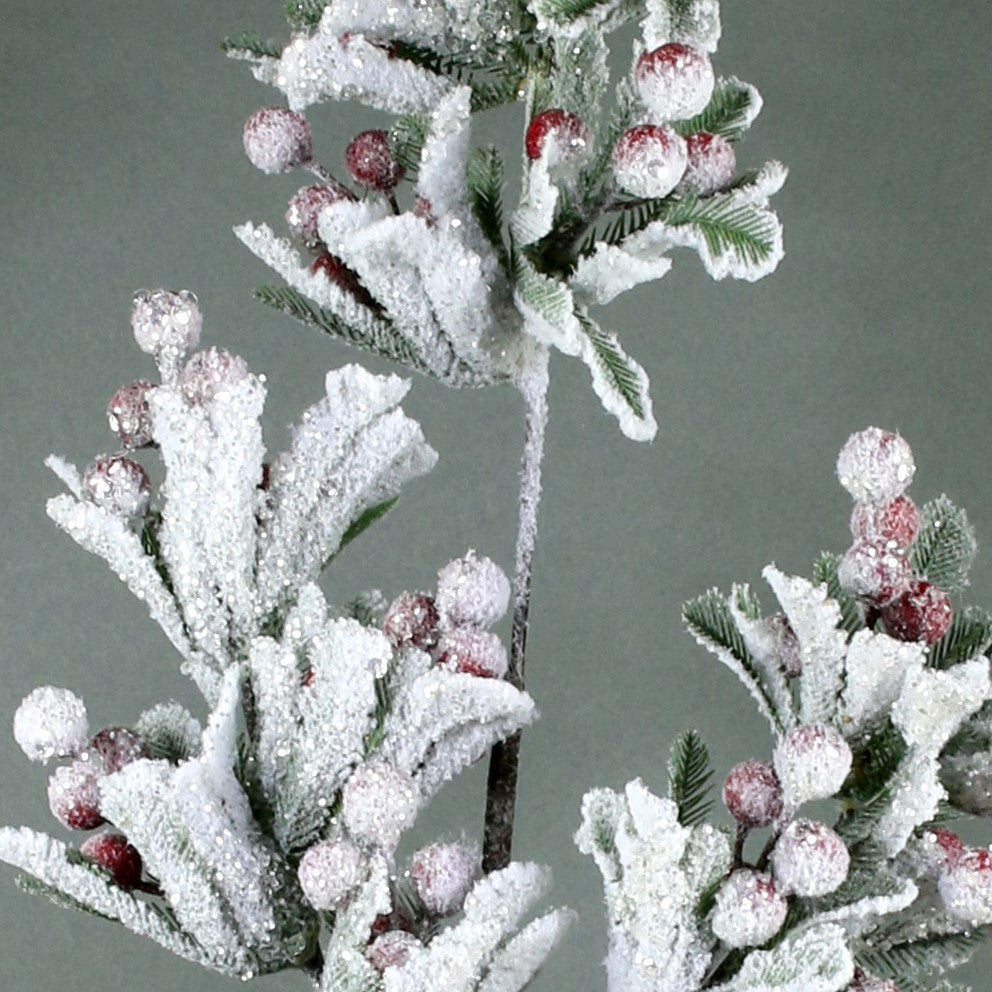 Snowy Berry Branch