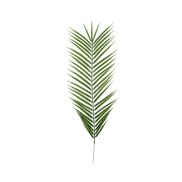 Palm Leaf